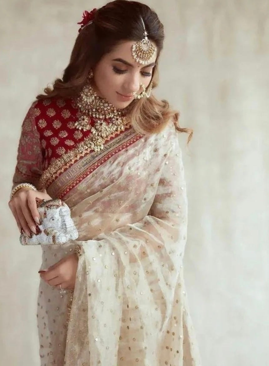 Sabyasachi inspired Maheswari saree